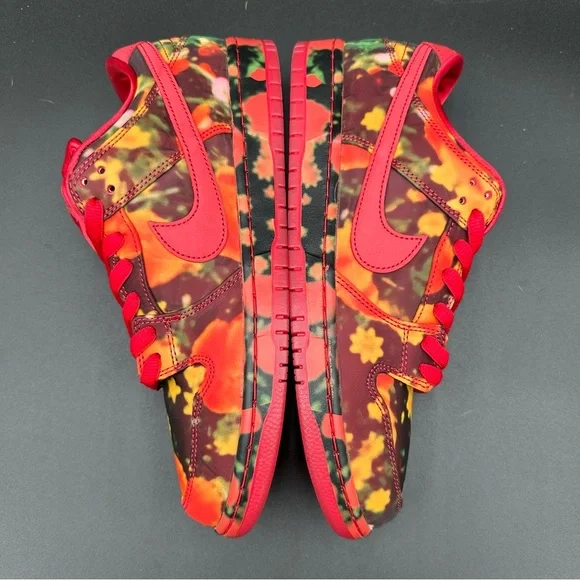 NWT 2024 NIKE SB DUNK LOW PRO WIZARD OF OZ QS DEADSTOCK OG ALL MENS 10.5 - Picture 6 of 16